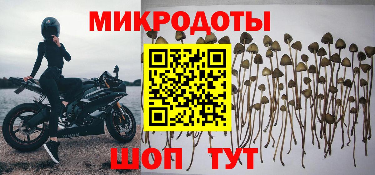 Осинники  Псилоцибиновые грибы мицелий  Вход с VPN 